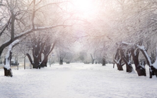 Picture of a park trail with dormant trees and snow everywhere.